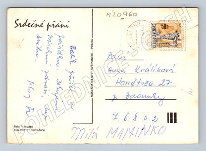 Pohlednice pivoňky 1960 (M20960)