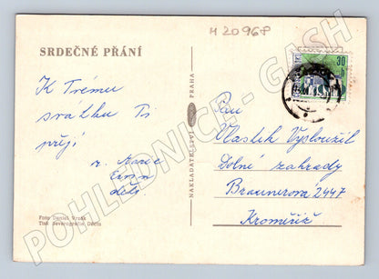 Pohlednice červené růže (M20968)