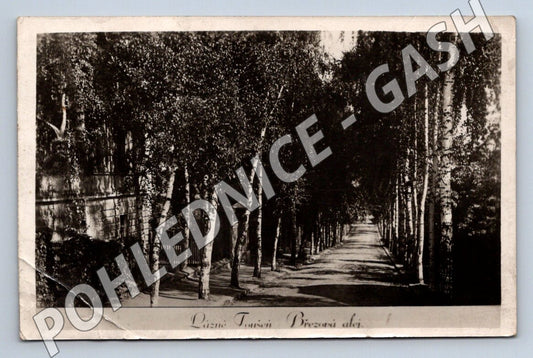 Pohlednice Lázně Toušeň Březová alej 1934 (M2097)