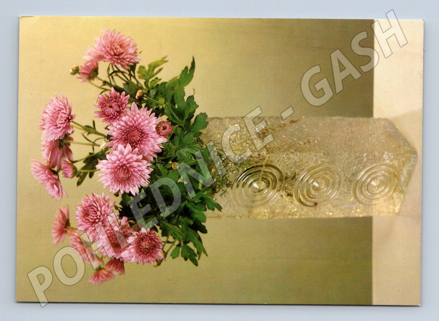 Pohlednice chrysantémy ve váze (M20978)
