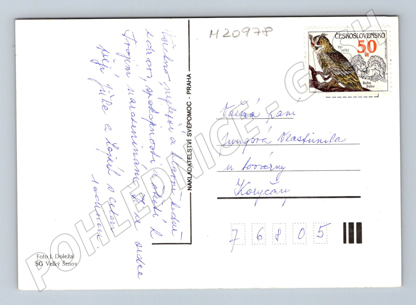Pohlednice chrysantémy ve váze (M20978)
