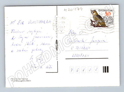 Pohlednice růže 1987 (M20979)