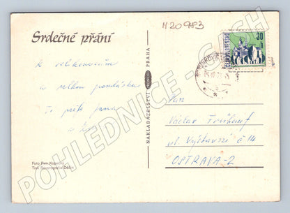 Pohlednice květiny velikonoční 1973 (M20983)