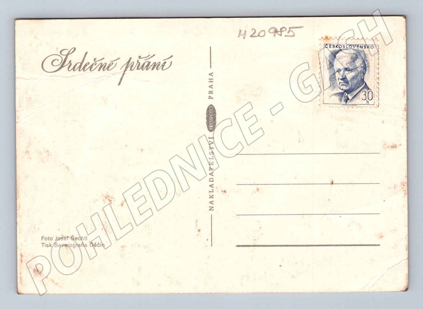 Pohlednice růže (M20985)
