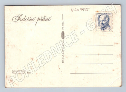 Pohlednice růže (M20985)