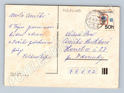 Pohlednice sedmikrásky ve váze 1981 (M21000)