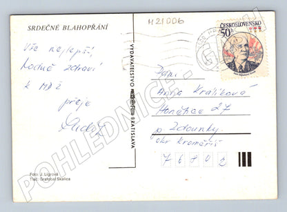 Pohlednice blahopřání květiny (M21006)