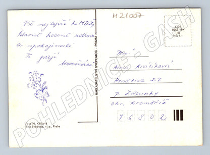 Pohlednice květiny 80 léta (M21007)