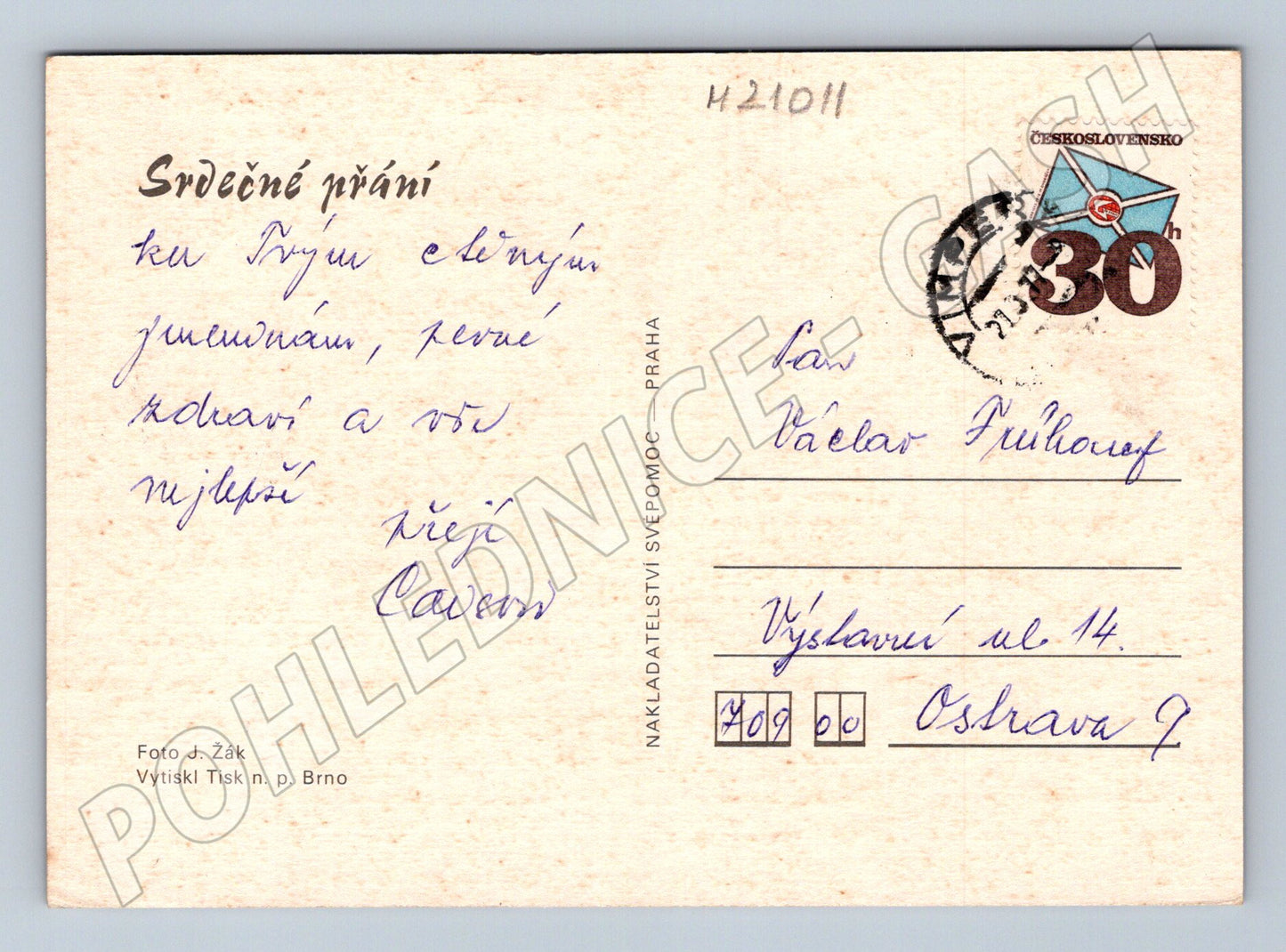 Pohlednice gerbery květiny (M21011)