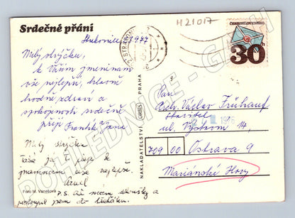Pohlednice narcisy blahopřání 1976 (M21017)