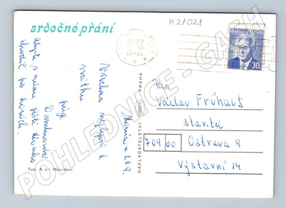 Pohlednice růže 1972 (M21021)