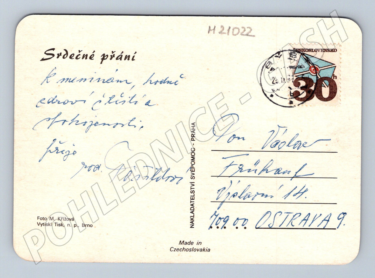 Pohlednice květiny (M21022)