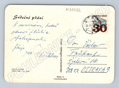 Pohlednice květiny (M21022)