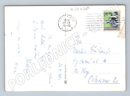 Pohlednice červené růže 1972 (M21028)