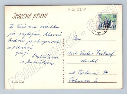 Pohlednice květiny (M21029)