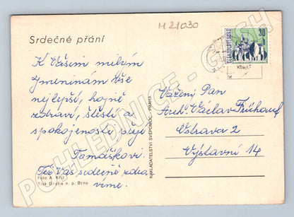 Pohlednice jiřiny ve váze Košice (M21030)