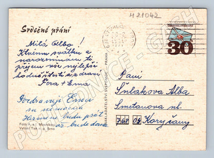 Pohlednice růže 1977 (M21042)