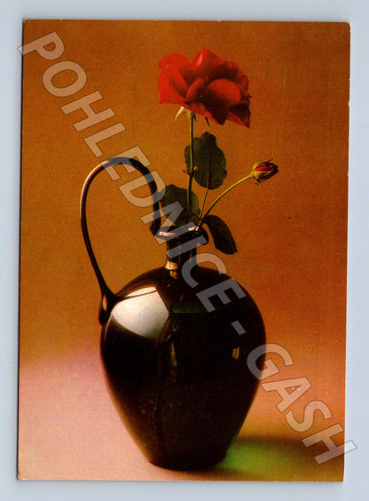 Pohlednice růže ve váze MDŽ 1985 (M21044)