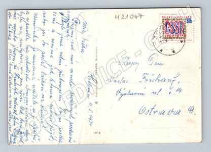 Pohlednice květiny barevná (M21047)