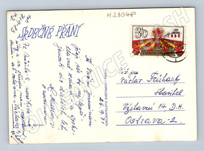 Pohlednice kopretiny ve váze (M21048)