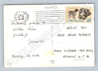 Pohlednice Jugoslávie květiny 1974 (M21053)