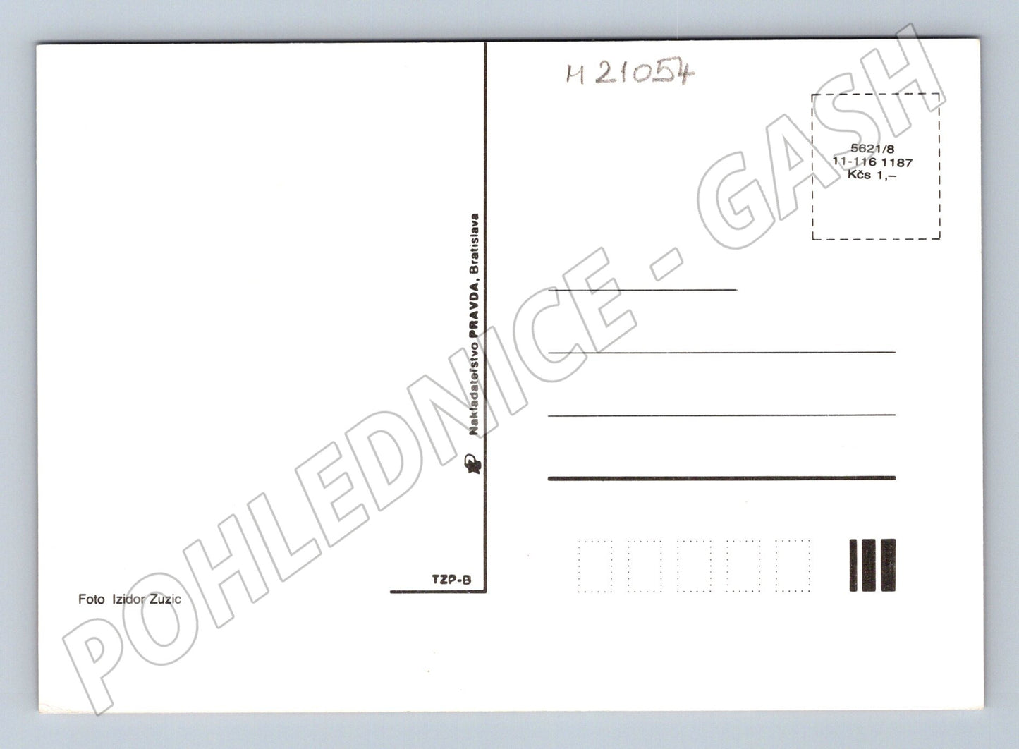 Pohlednice kopretiny (M21054)