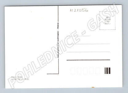 Pohlednice květiny (M21056)
