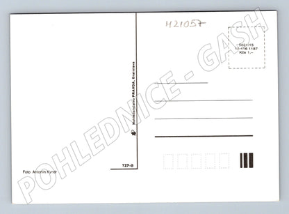 Pohlednice květiny Antonín Kyndr (M21057)
