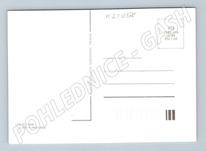 Pohlednice růže Svépomoc Praha 1985 (M21058)