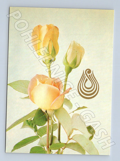Pohlednice žlutá růže Svépomoc 1985 (M21059)