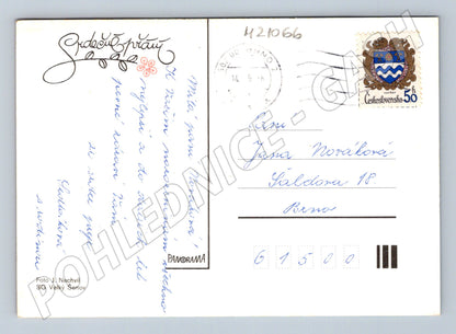 Pohlednice azalky J Nechvil (M21066)