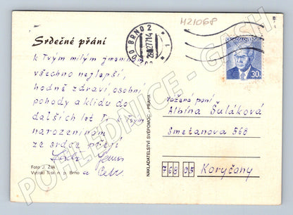 Pohlednice karafiáty přání (M21068)