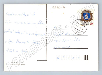 Pohlednice růže 1975 (M21074)