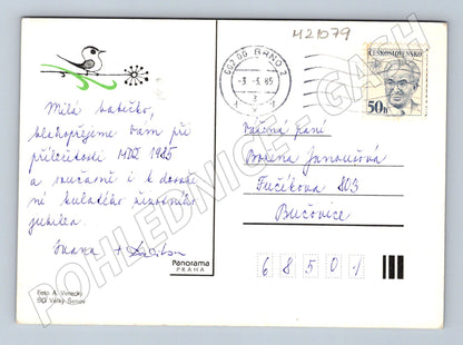 Pohlednice květiny 1985 (M21079)