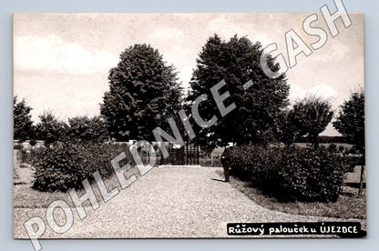 Pohlednice Růžový palouček u Újezdoce (M2108)