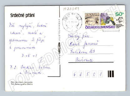 Pohlednice květiny 1988 (M21081)