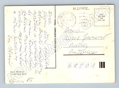 Pohlednice srdečné přání květiny 1989 (M21082)