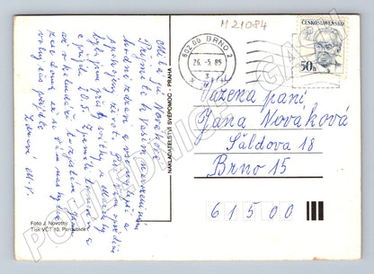 Pohlednice šeřík 1985 (M21084)