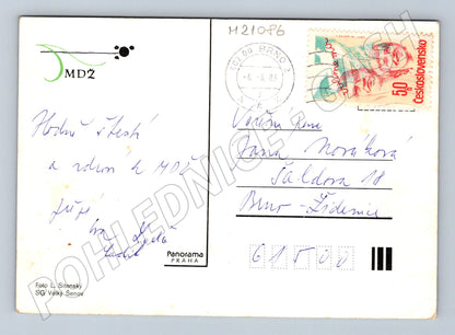 Pohlednice MDŽ květiny 1981 (M21086)