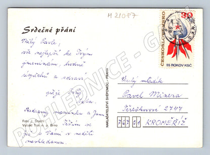 Pohlednice květiny 1976 (M21087)