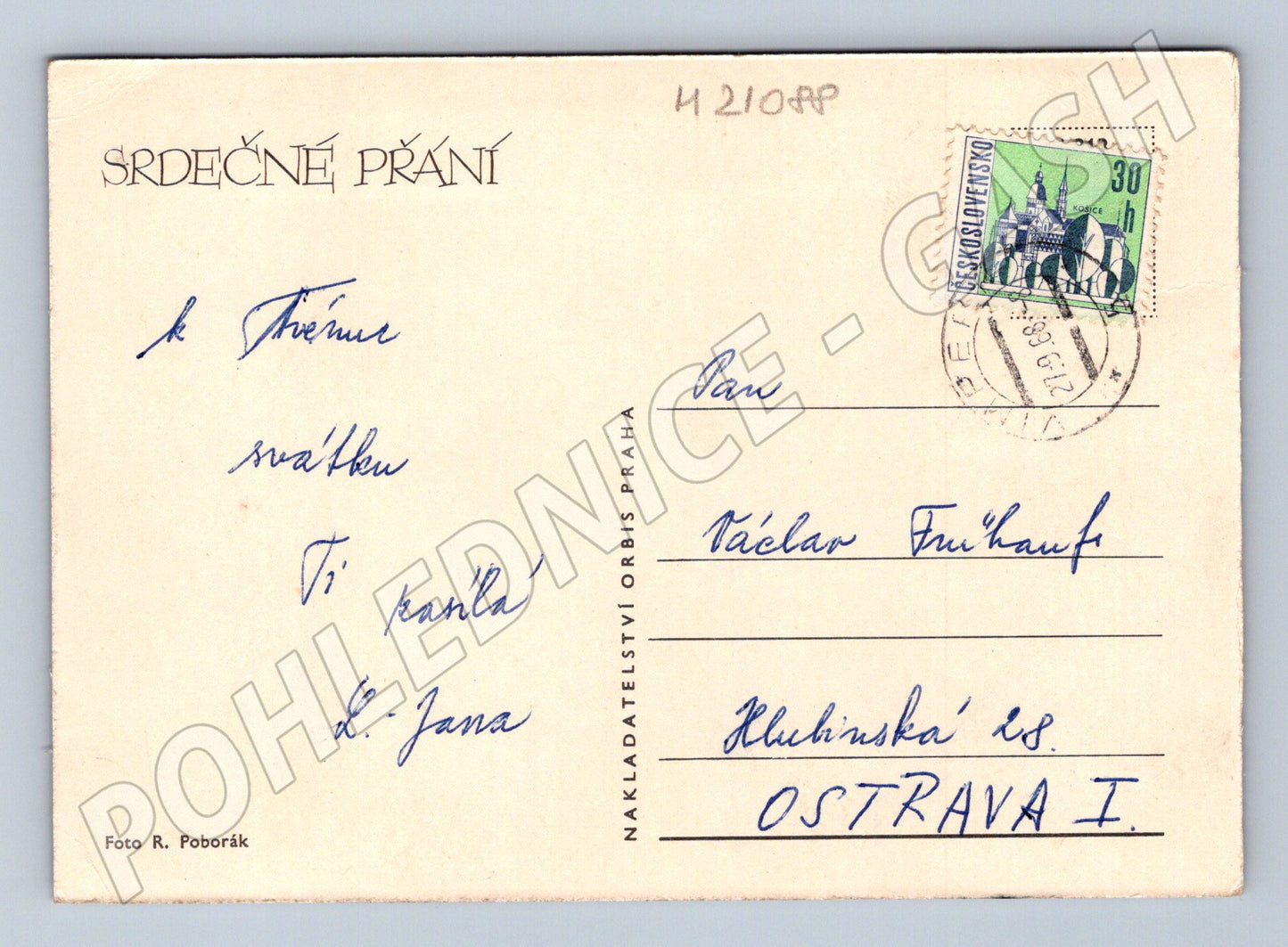 Pohlednice karafiáty Orbis 1968 (M21088)