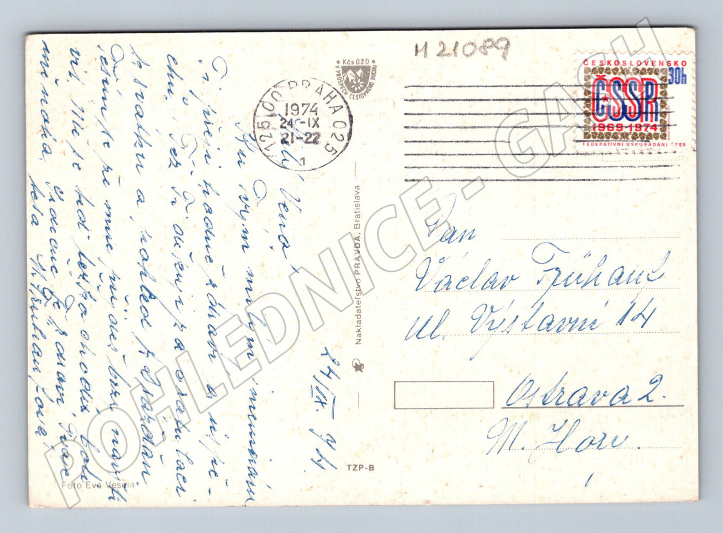 Pohlednice růže 1974 (M21089)