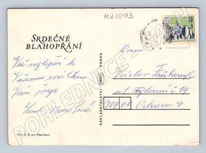 Pohlednice blahopřání květiny Orbis (M21093)