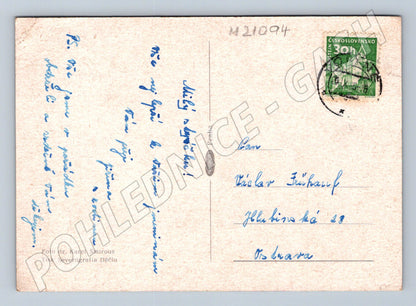 Pohlednice kytice růží 1950 (M21094)