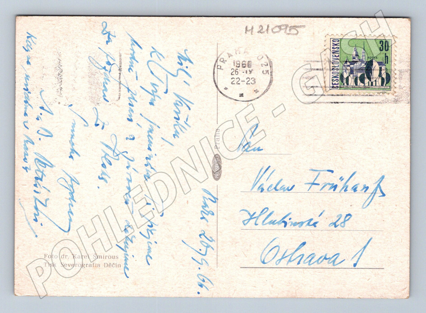 Pohlednice květiny 1966 (M21095)