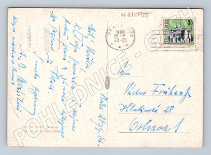 Pohlednice květiny 1966 (M21095)