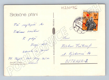 Pohlednice růže 1972 (M21096)