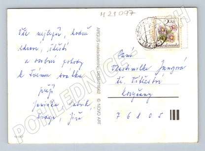 Pohlednice květinové přání velký formát (M21097)