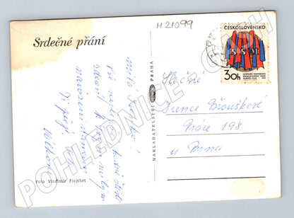 Pohlednice květina černobílá 1970 (M21099)