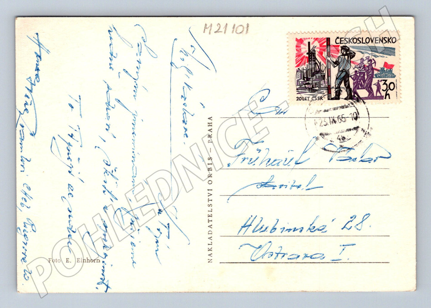 Pohlednice jírovec černobílá 1965 (M21101)
